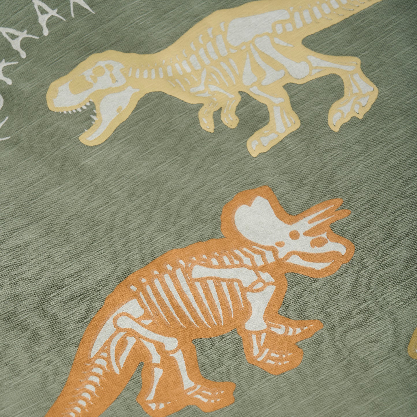 Minymo T-Shirt Dino-Print