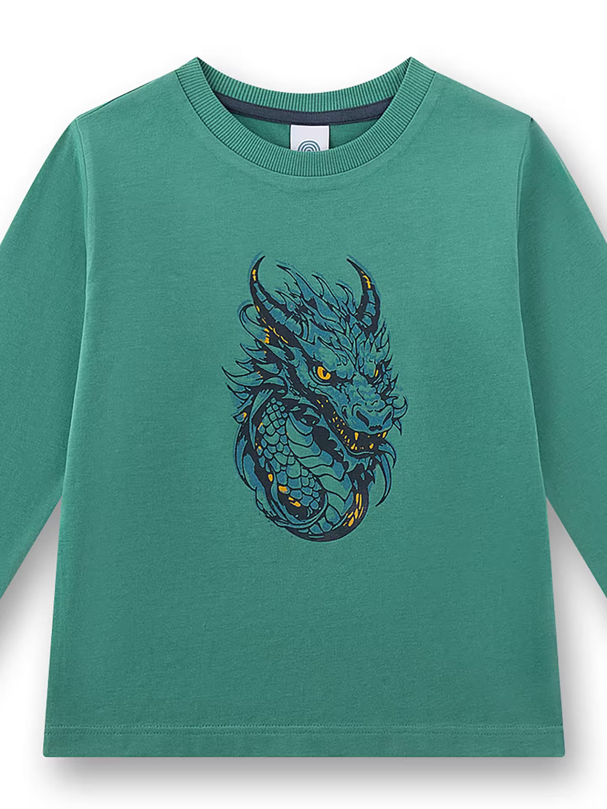 Sanetta Jungen-Schlafanzug lang grün Drachen
