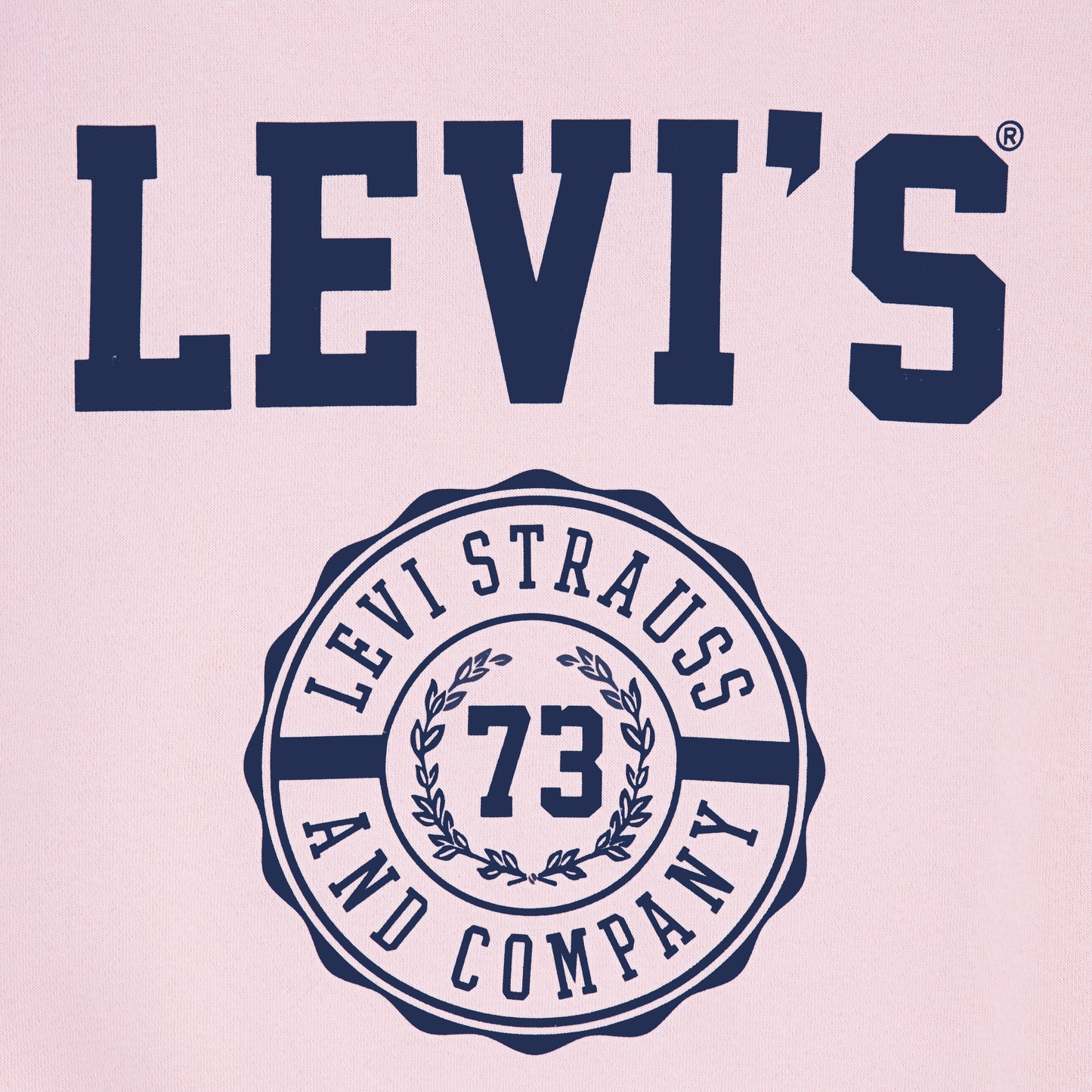 Levi's LVG Collegiate Crew