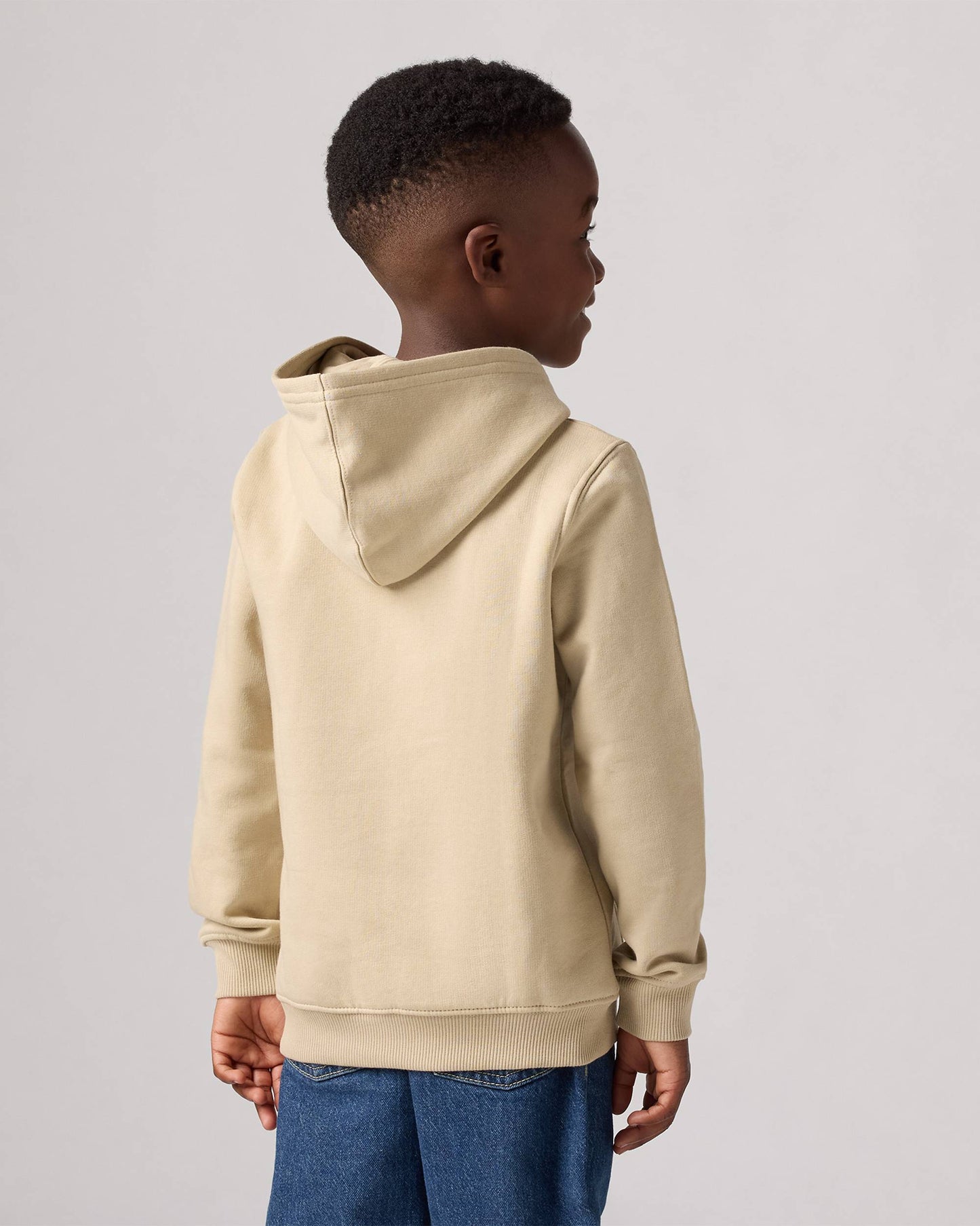 Levi's LVB Mini Batwing Hoodie