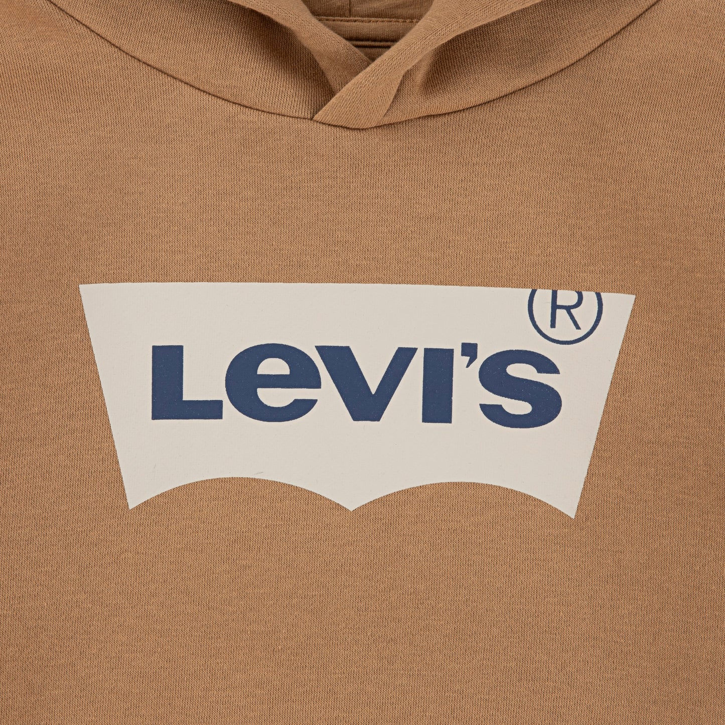 Levi's LVB Batwing Screenprint Hoodie