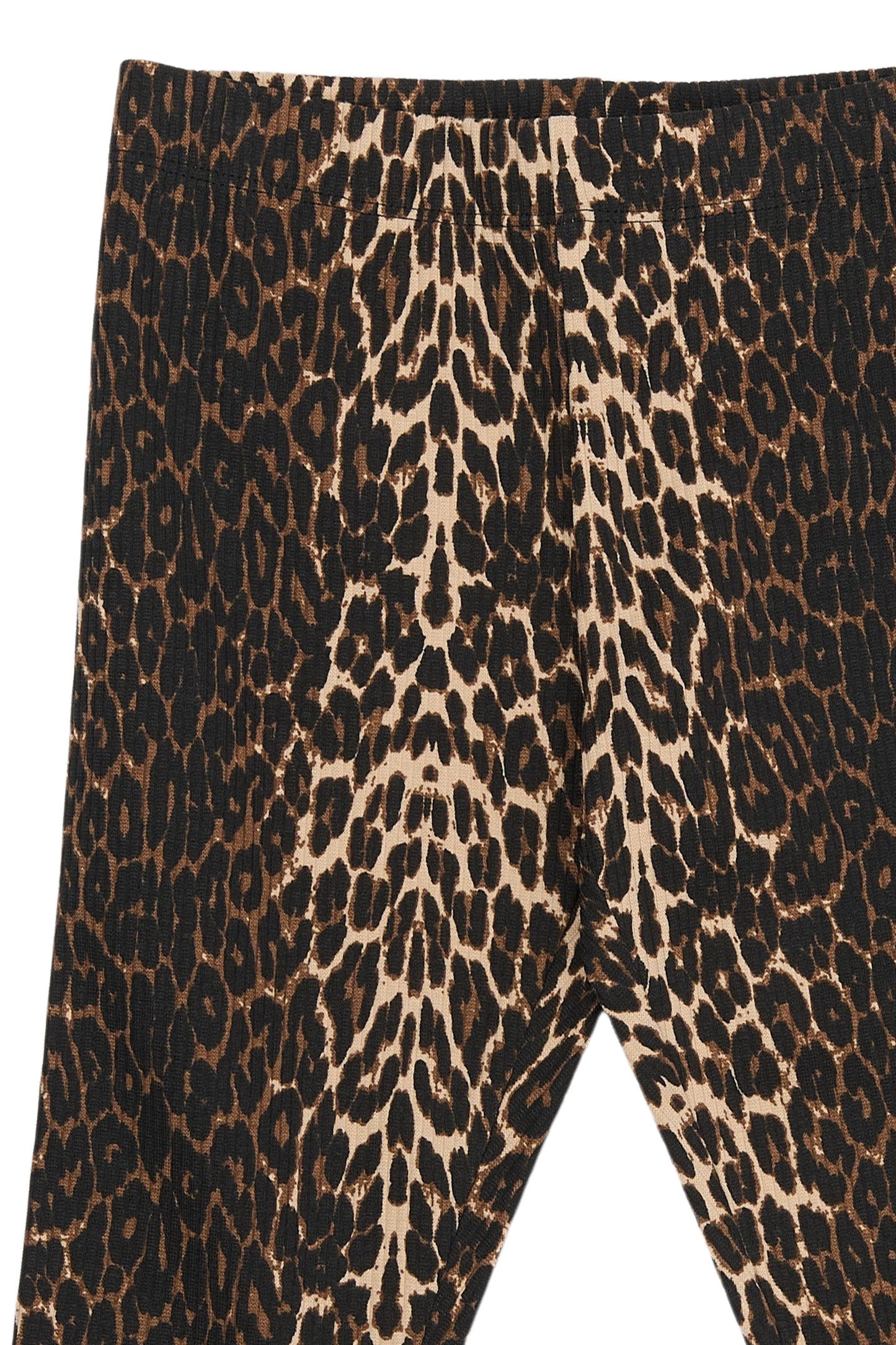 The New Ellen Leggings Leo Print