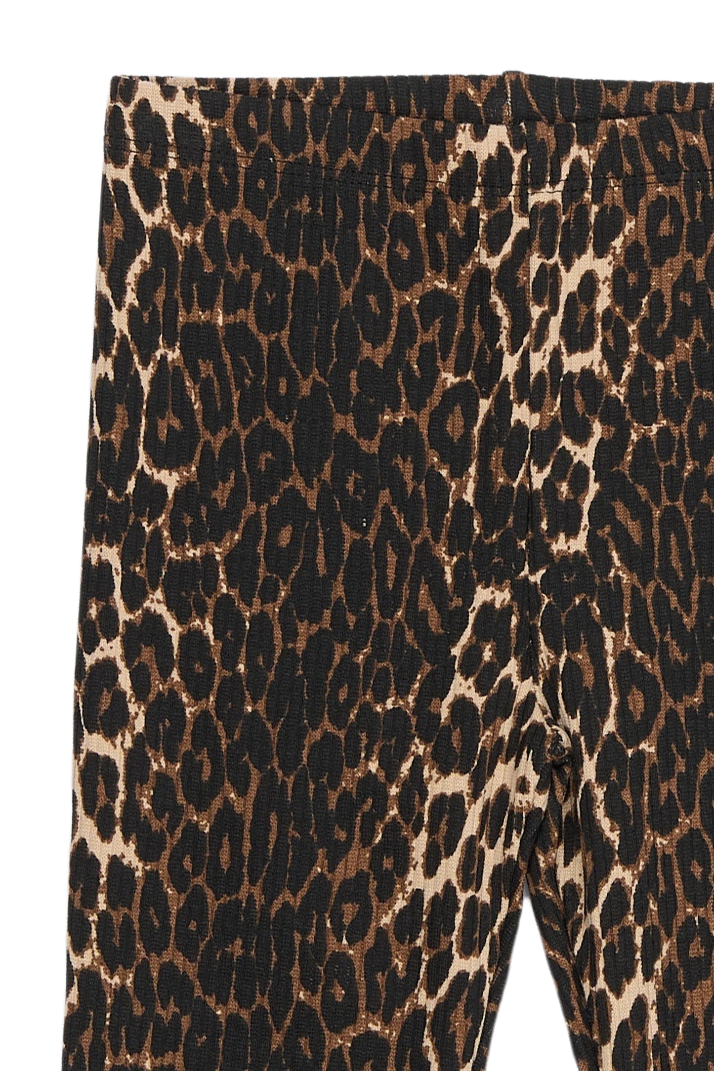 The New siblings Leggings Leo-Print