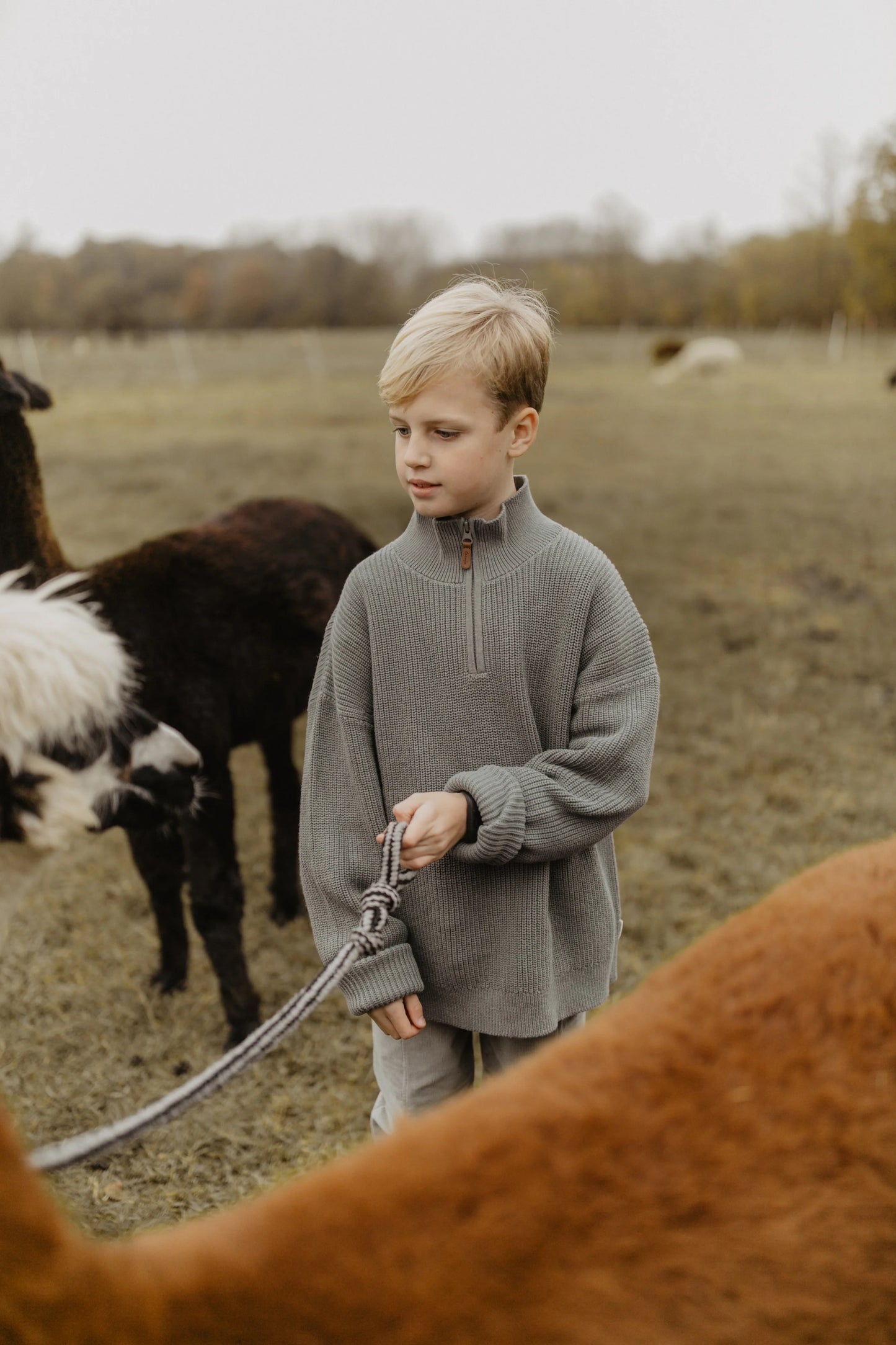 Leevje Chunky Knit Half-Zip Pullover