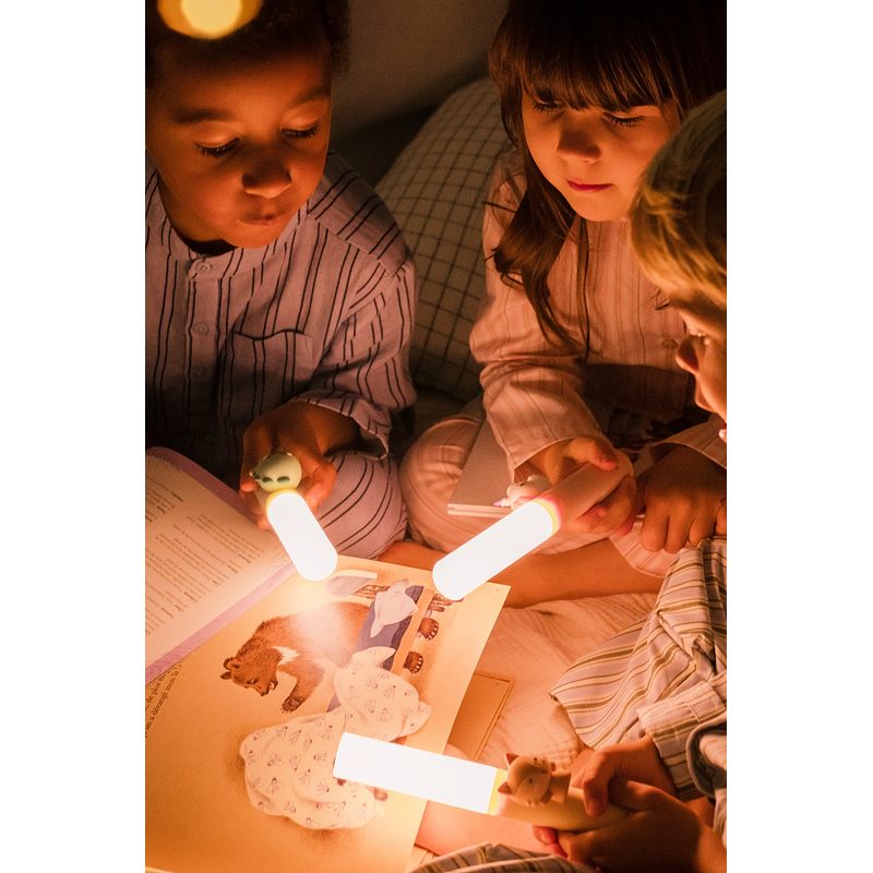 Zoofamily Taschenlampe Zoolight Dino