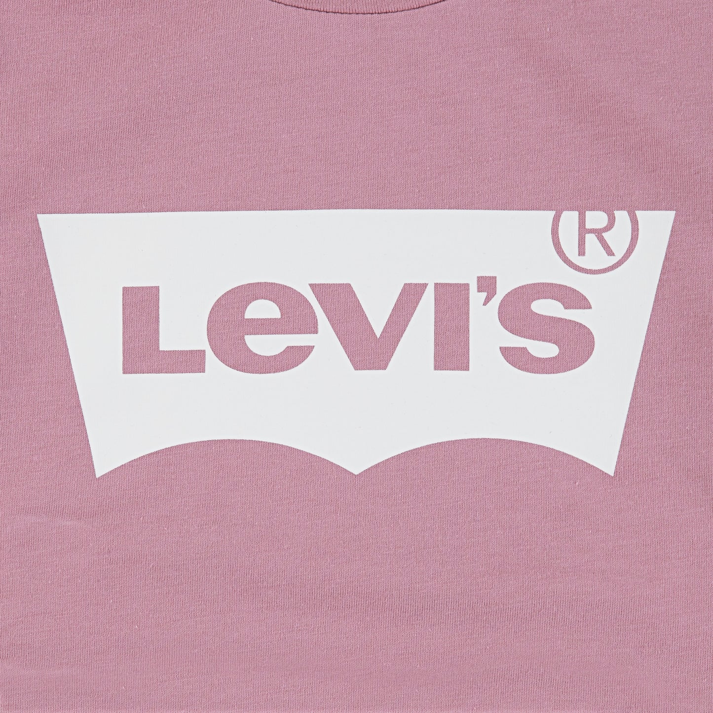 Levi's LVG Langarmshirt Batwing TEE