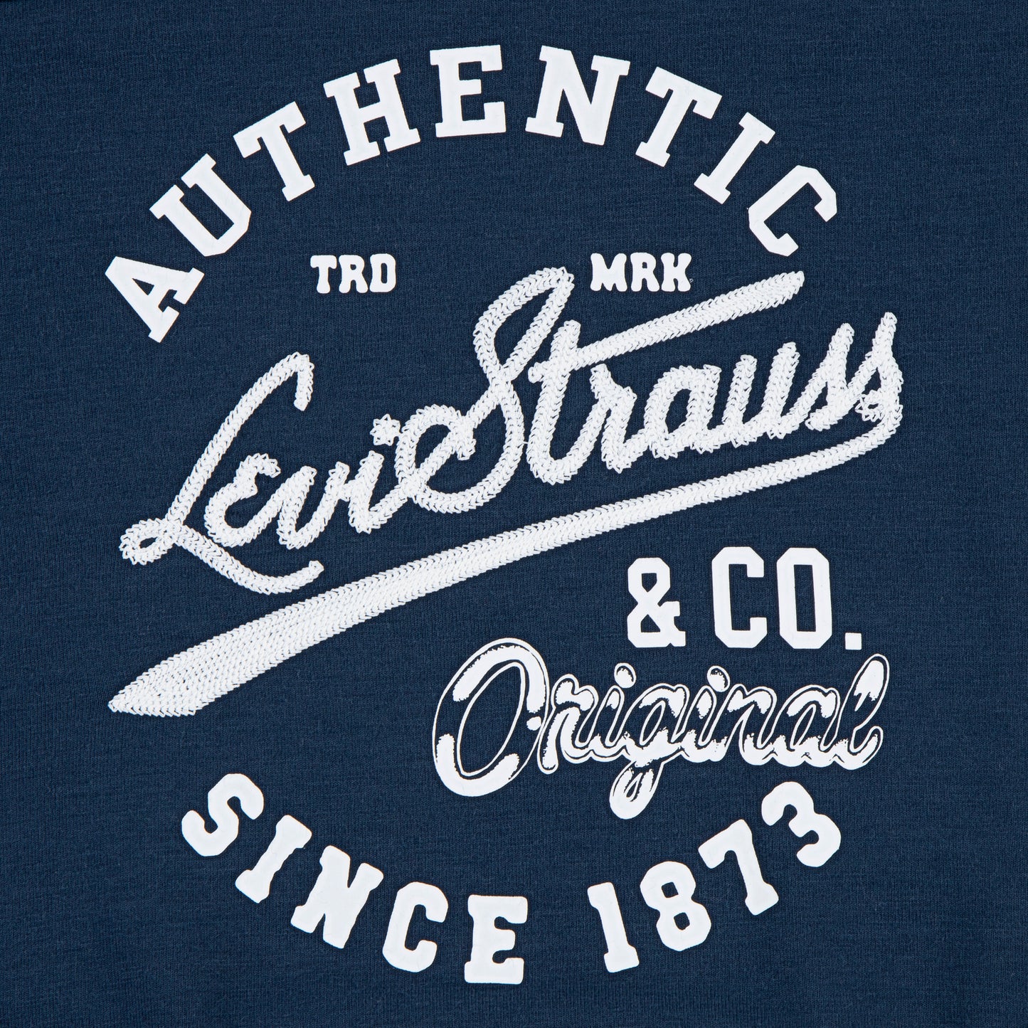 Levi's LVG Varsity Langarmshirt Tee