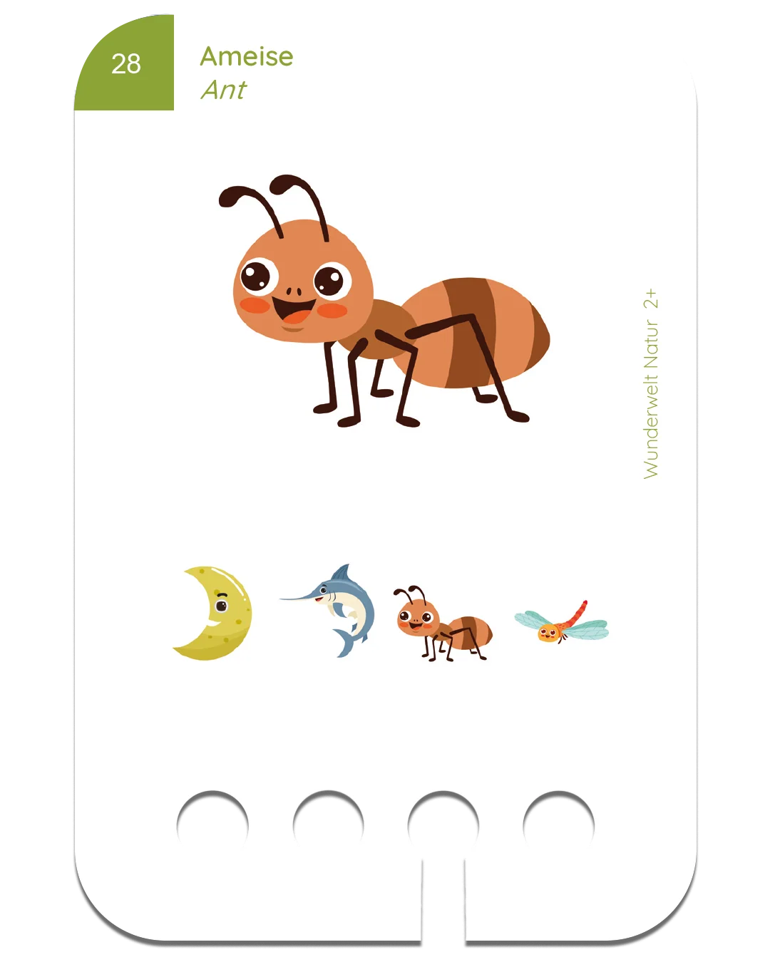 Neu: Erste Übungen - Wunderwelt Natur 2+