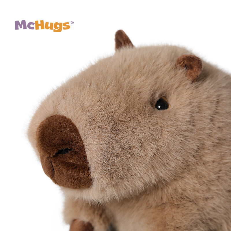 McHugs Peaceful Capybara