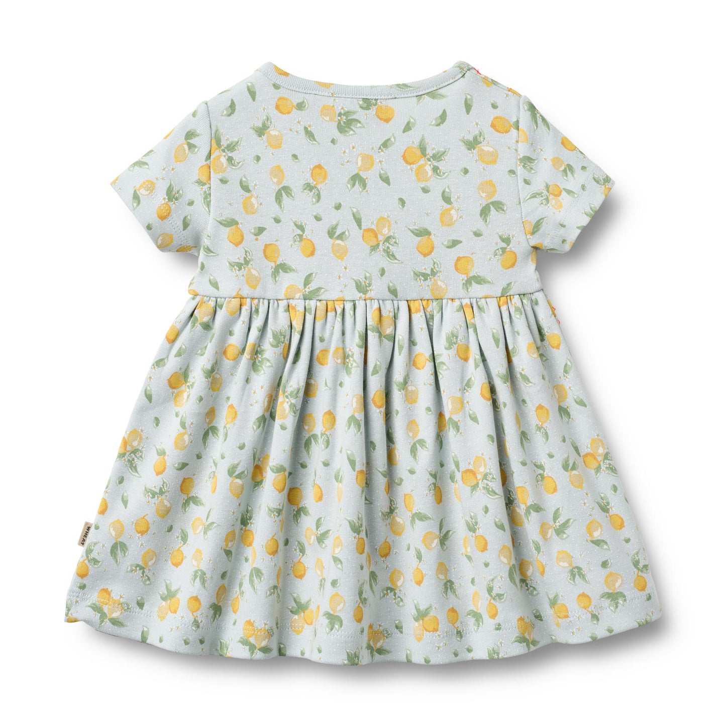 Wheat Kleid Nova