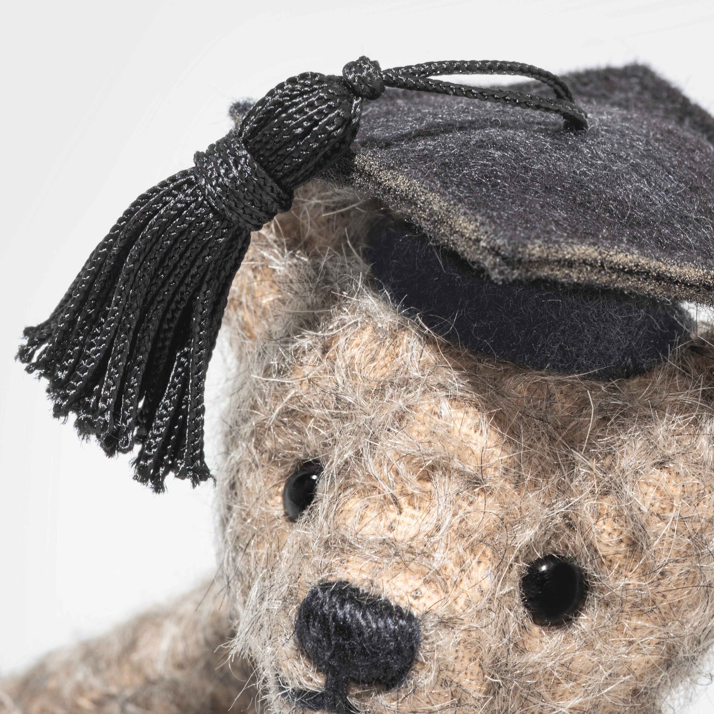 Steiff Abschluss Teddybär 13cm
