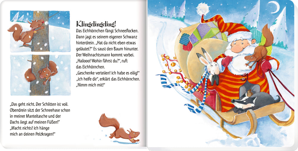 Coppenrath - Nimm mich mit, lieber Weihnachtsmann!