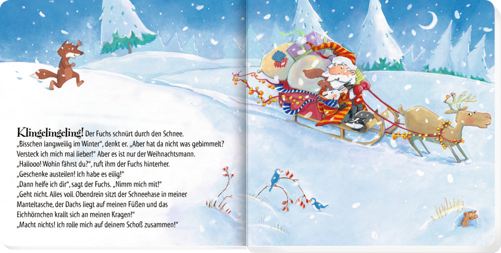 Coppenrath - Nimm mich mit, lieber Weihnachtsmann!