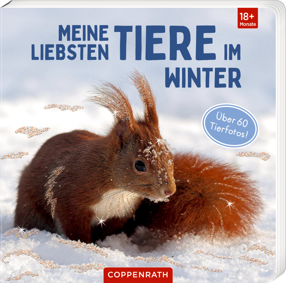 Coppenrath - Meine liebsten Tiere im Winter