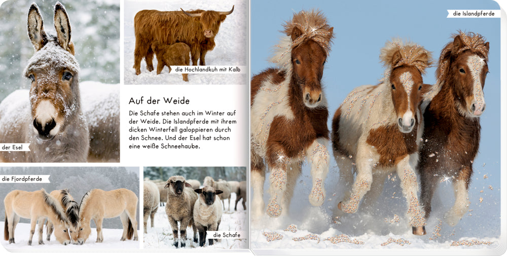 Coppenrath - Meine liebsten Tiere im Winter