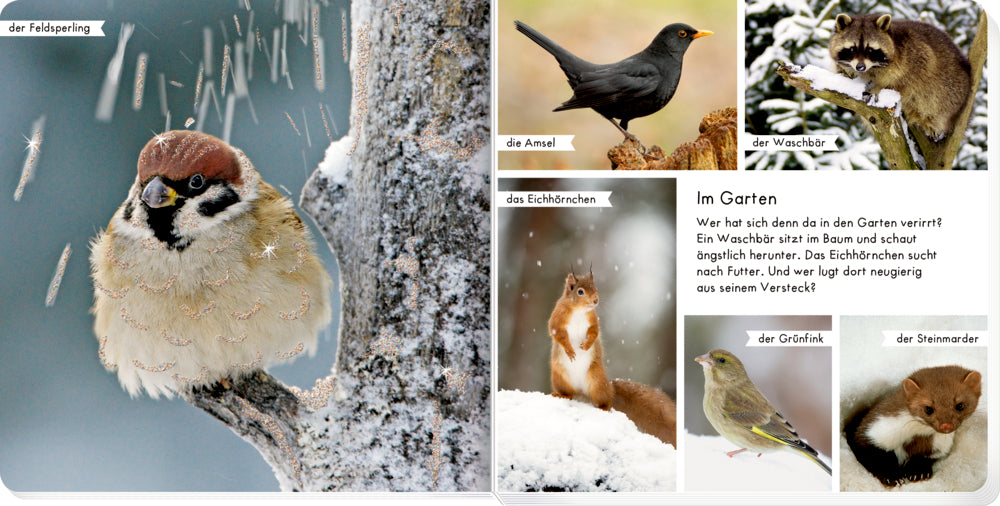 Coppenrath - Meine liebsten Tiere im Winter