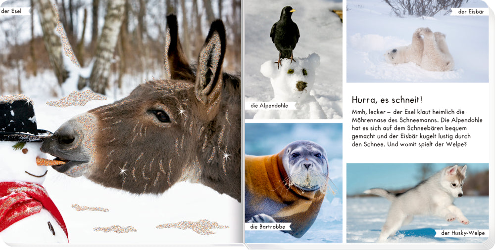 Coppenrath - Meine liebsten Tiere im Winter