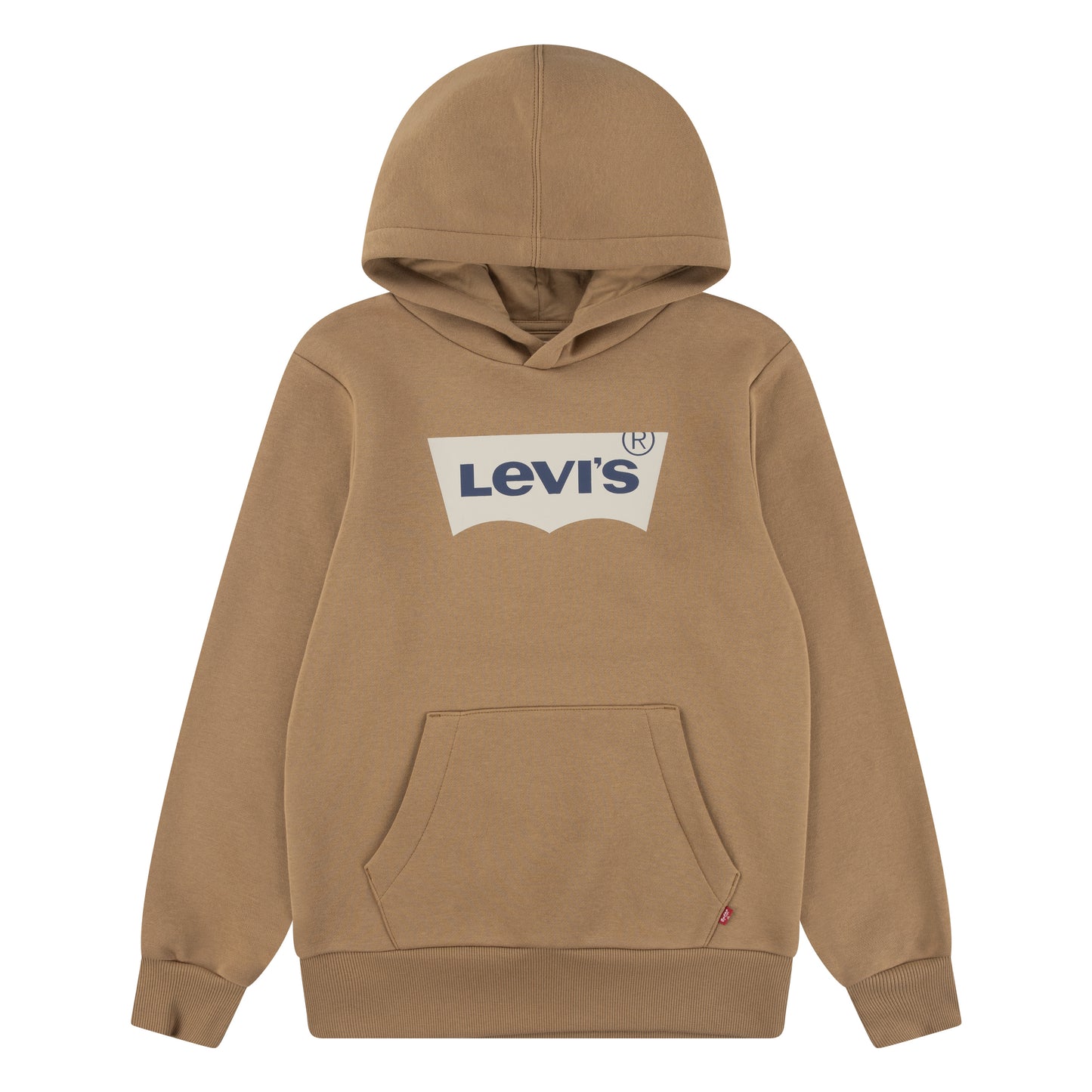 Levi's LVB Batwing Screenprint Hoodie