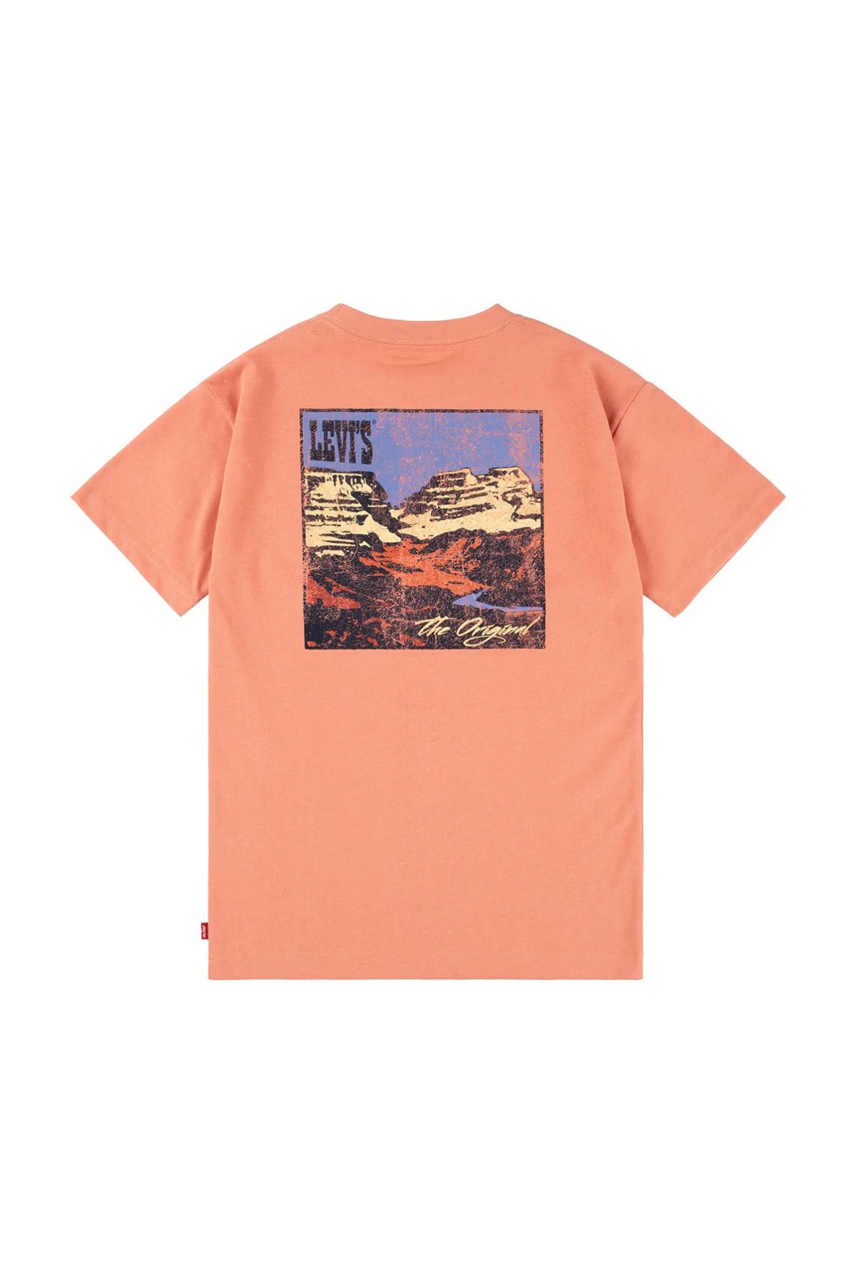 Levi´s T-shirt Canyon Landscape Tee