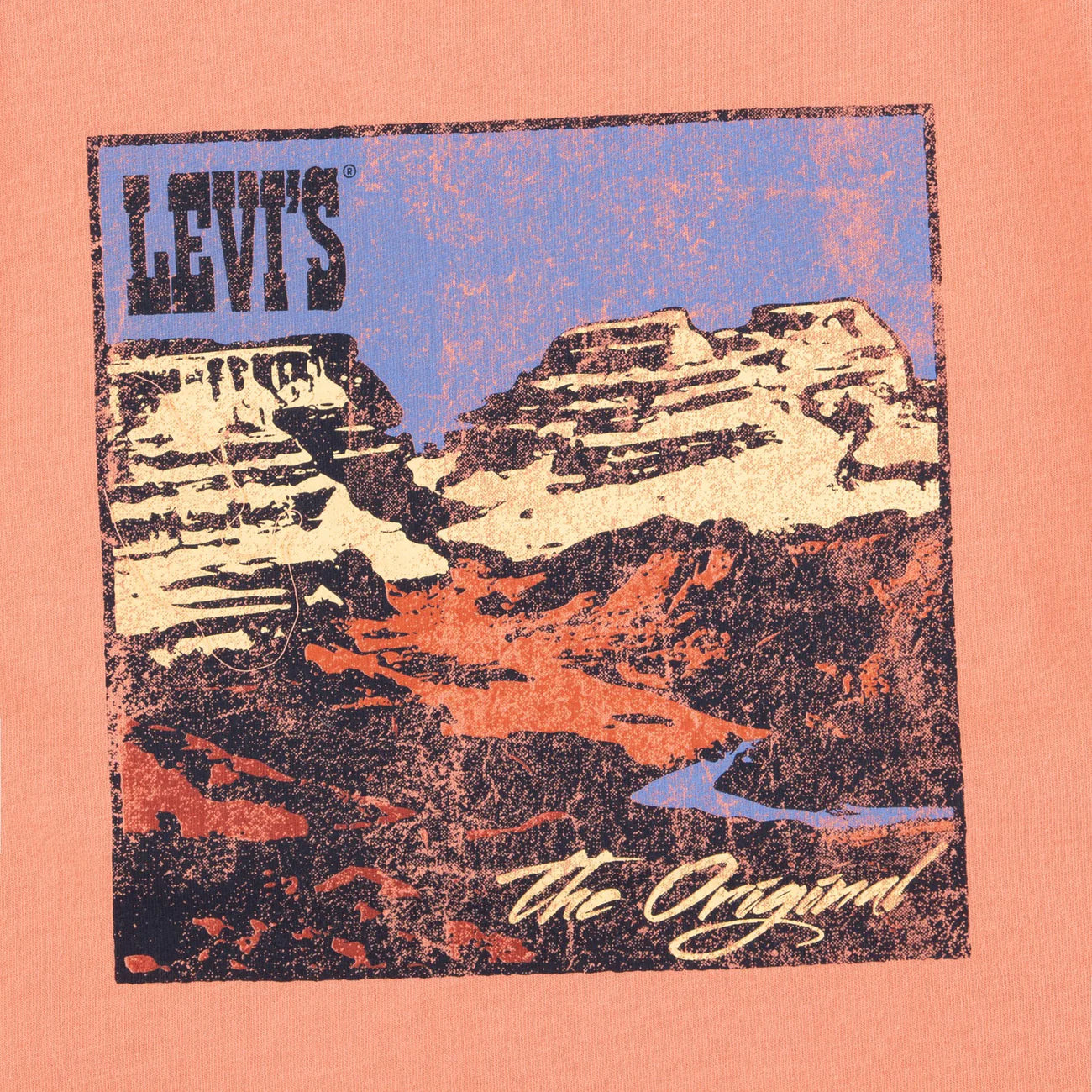 Levi´s T-shirt Canyon Landscape Tee