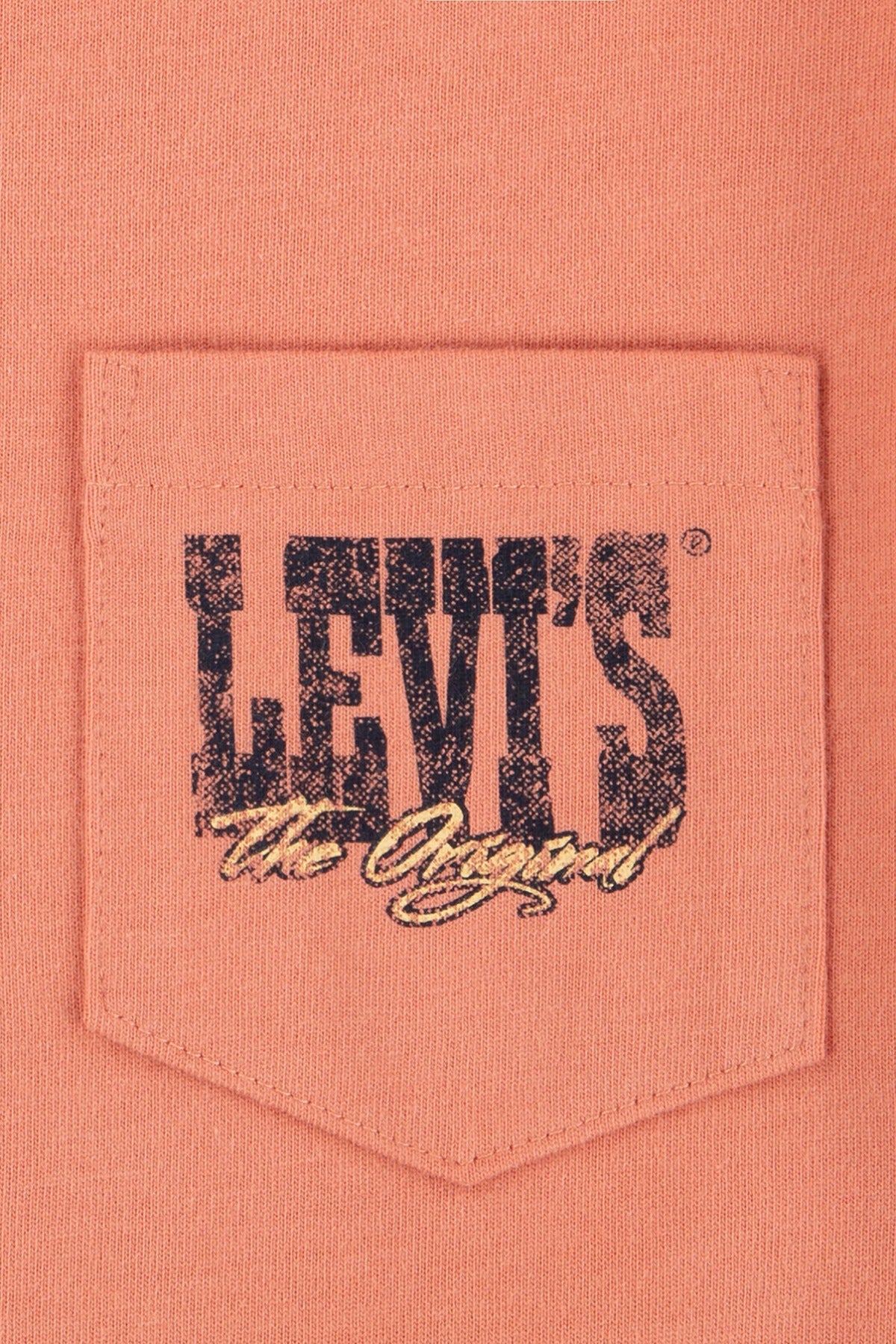 Levi´s T-shirt Canyon Landscape Tee