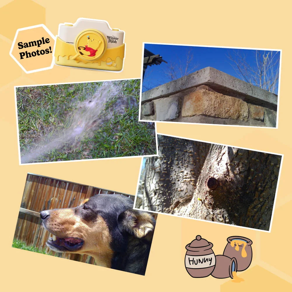 kiimento Disney Winnie the Pooh Digitalkamera