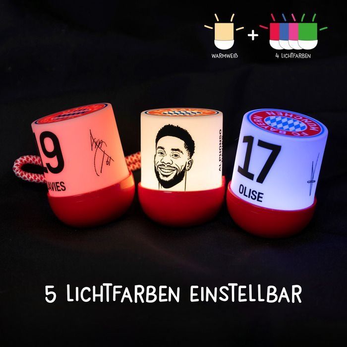 MEGA LIGHT - MYSTERY LIGHTS: MINI LICHT EGGY FCB EDITION