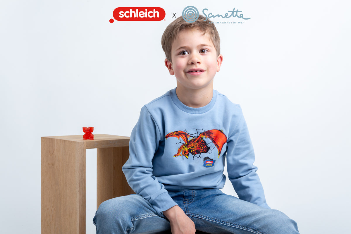 Sanetta Kinder-Sweatshirt hellblau Eldrador®