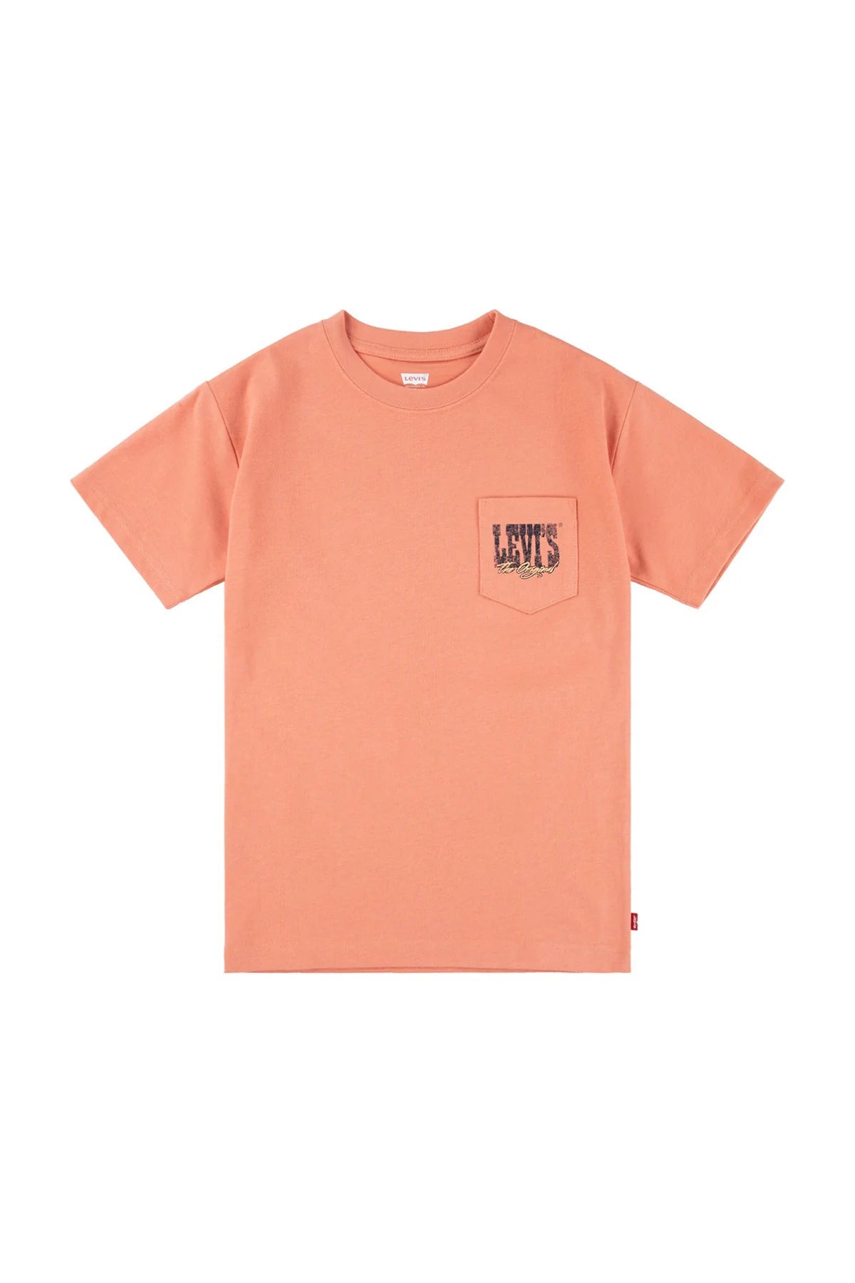 Levi´s T-shirt Canyon Landscape Tee
