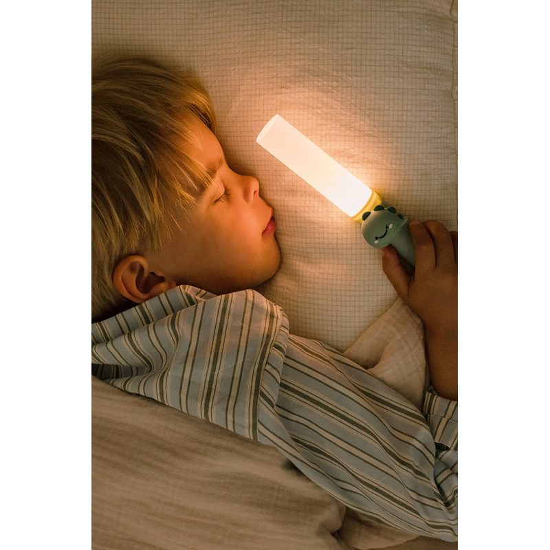 Zoofamily Taschenlampe Zoolight Dino