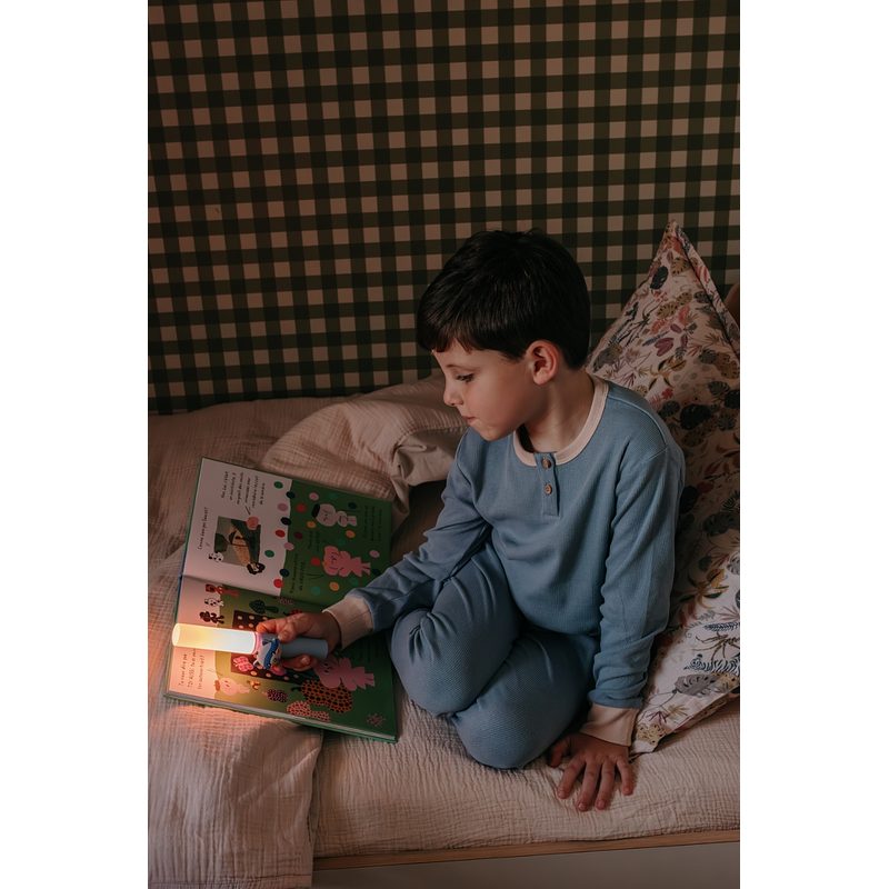 Zoofamily Taschenlampe Zoolight Waschbär