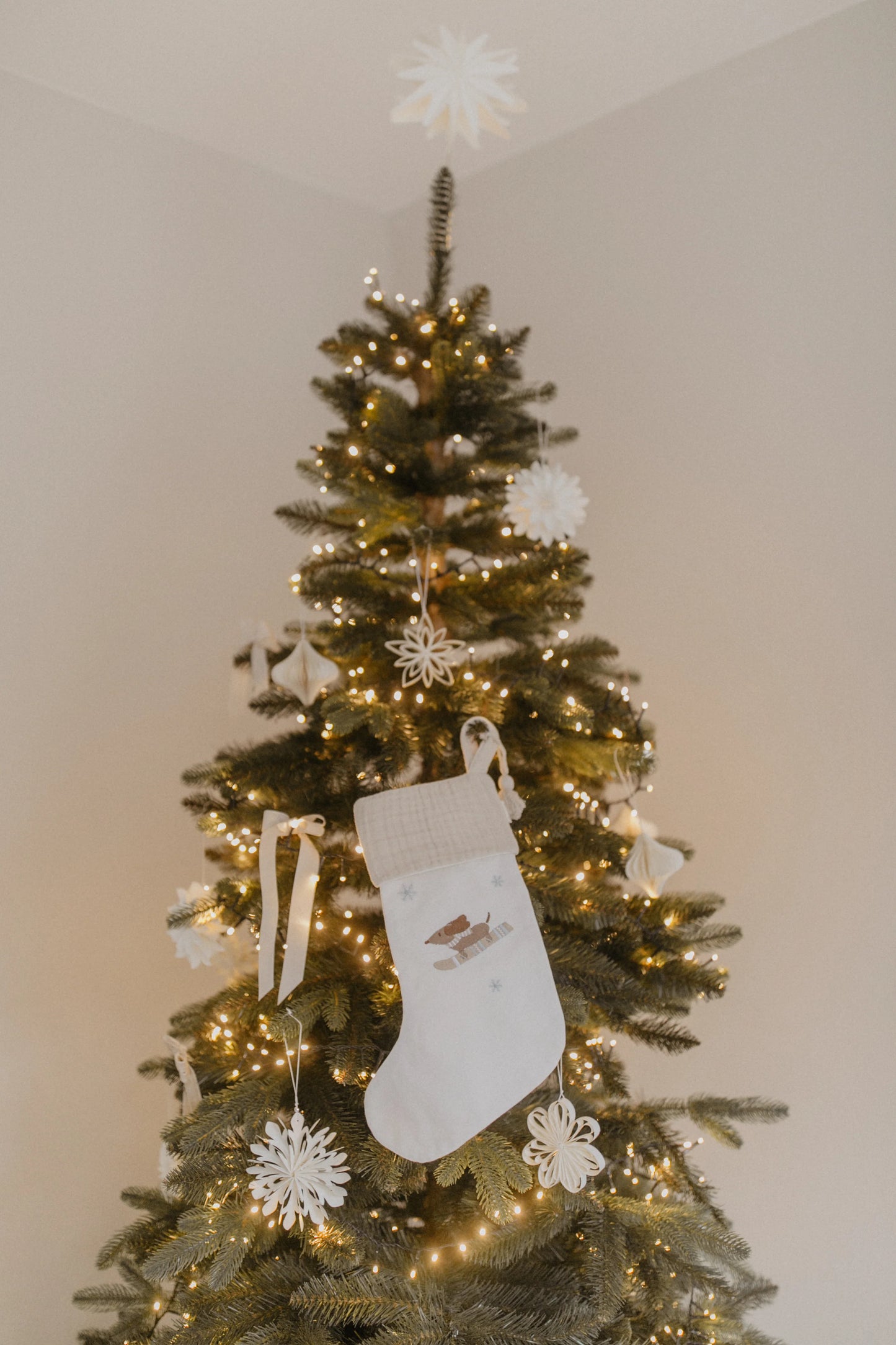 Leevje Weihnachtsstrumpf DOG