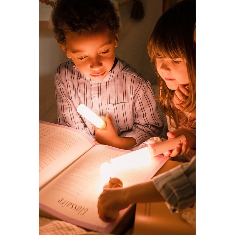 Zoofamily Taschenlampe Zoolight Fuchs